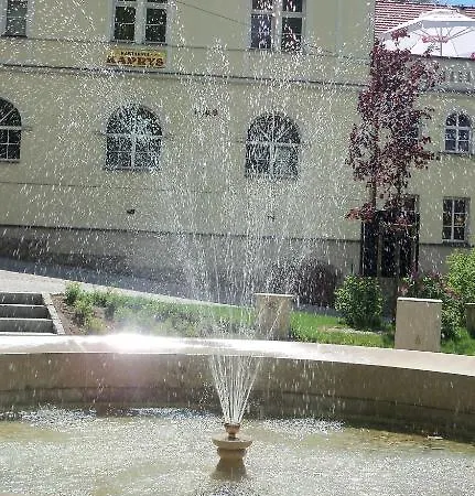 Apartament Apartament Orchidea *