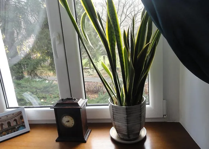 Apartment Apartament Orchidea